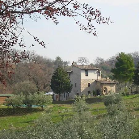 Tulipano - Fogliani Giano dell'Umbria