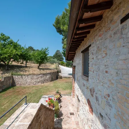 Farmház Tulipano - Fogliani *