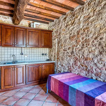 Tulipano - Fogliani * Giano dellʼUmbria