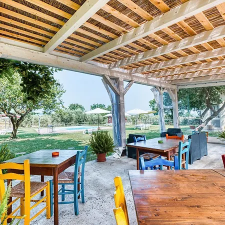 Tulipano - Fogliani *