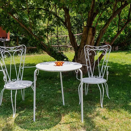 Tulipano - Fogliani *