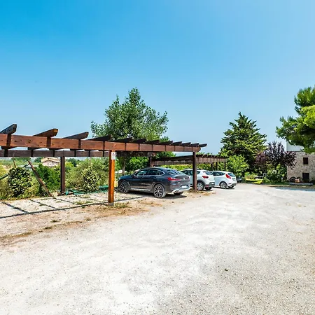 Tulipano - Fogliani *