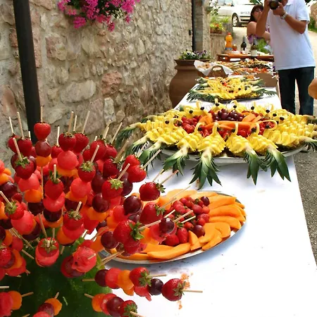 Tulipano - Fogliani * Giano dellʼUmbria